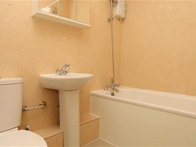 Picture 8